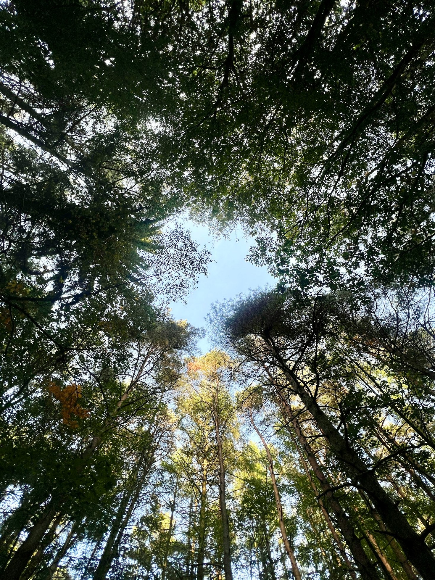 Overcoming Challenges on the Path to Meaningful Living